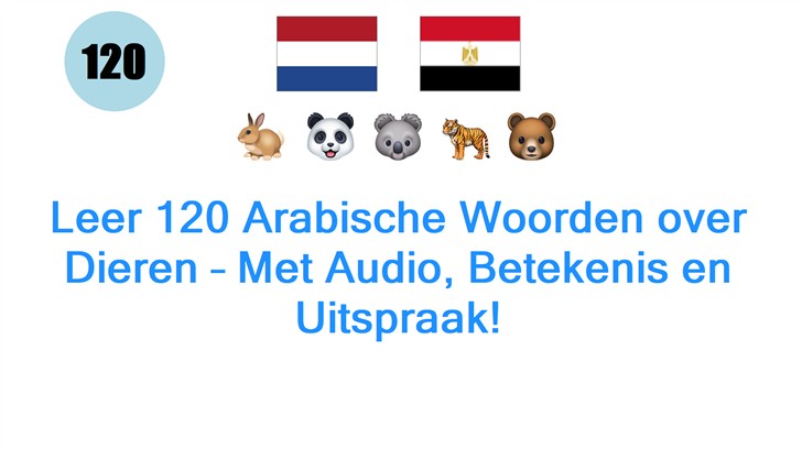 Leer 120 Arabische Woorden over Dieren – Met Audio, Betekenis en Uitspraak!
